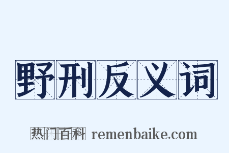 野刑反义词是什么意思的图片